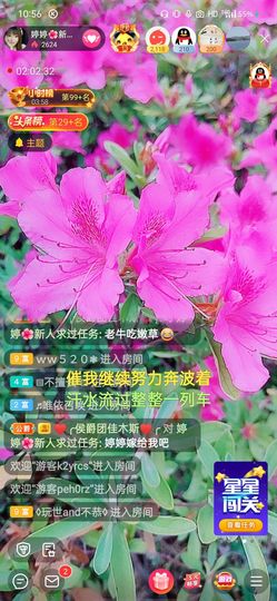 婷婷💕感恩有你陪伴的图片
