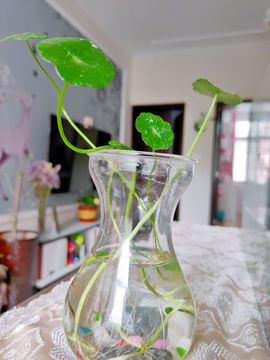 素雅依依暂休主播照片