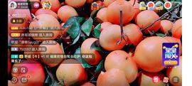……若主播照片