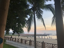 小雅代理ღ好运来主播照片