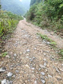 傲世英雄0主播照片