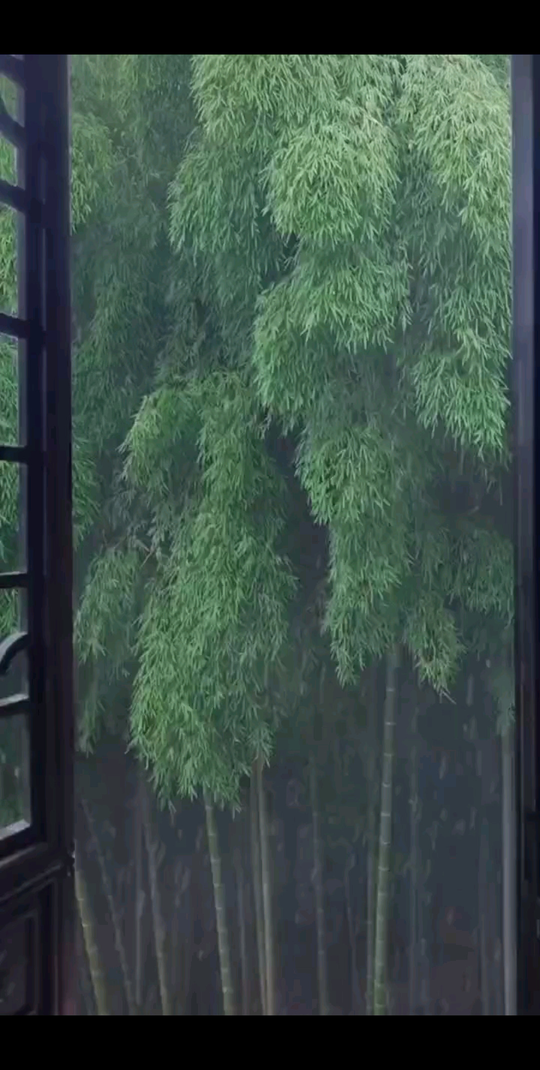 连雨不知春去一晴方知