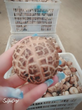 筱一✿．休的图片