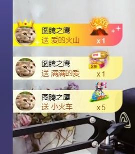 *菜园子*主播照片