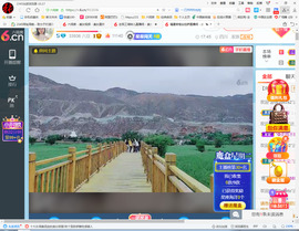 保利哥主播照片