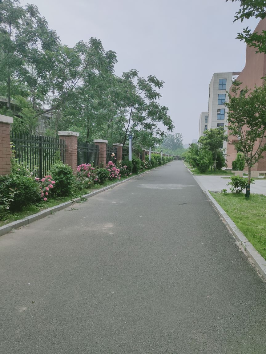 婷婷💕求过月底任务的图片