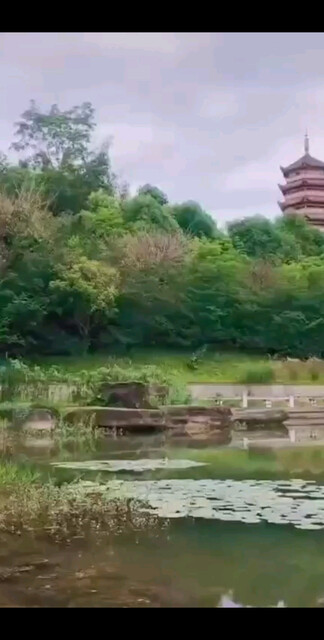 再长的路，一步步也能