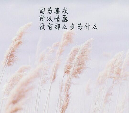 丑小鸭💞愿有一束光的图片