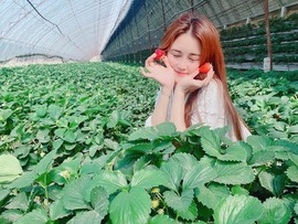 跑调嘉💟休主播照片