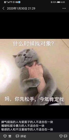 冬天来了5i的图片