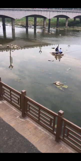 出去散步的时候，看到