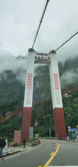 ……若主播照片