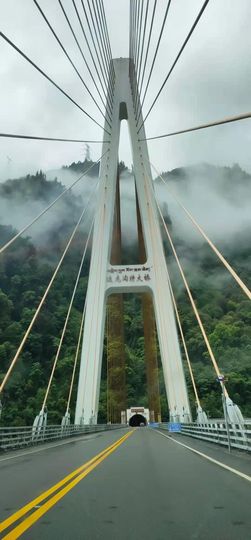 ……若主播照片