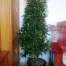 人生如夢!lzb的頭像