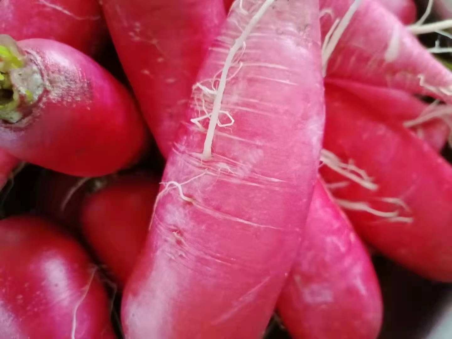 丑小鸭💞愿有一束光的图片