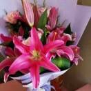春暖花开dmq