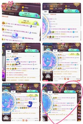*菜园子*主播照片