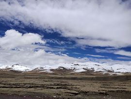 ……若主播照片