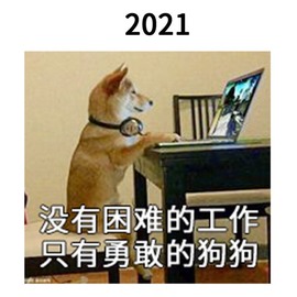小老虎🎀休主播照片
