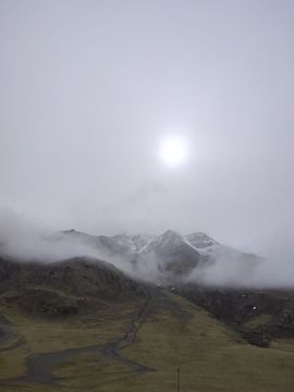 ……若主播照片