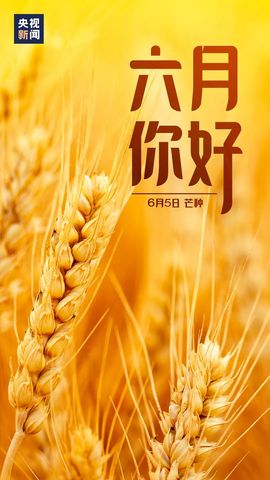 超持久“桑拿天”来了主播照片