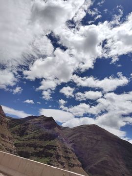 ……若主播照片