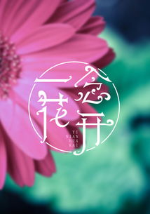 ♪♬一念~❥✿花开✿的主播照片