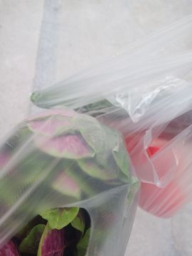 果果(平安好运)主播照片