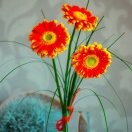 刘爱芳零陵中学