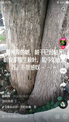 丹尼斯湿地公园主播照片