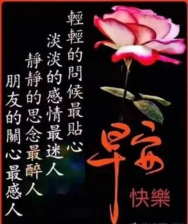 自信的小姐姐🤗🤗主播照片
