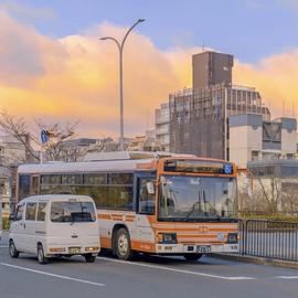 ━☆简希づ休息中主播照片