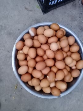 小芳，🌸减肥打卡主播照片