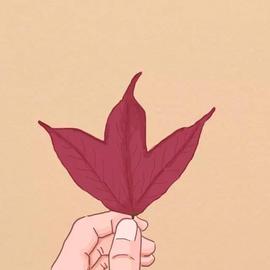 ━☆简希づ休息中主播照片