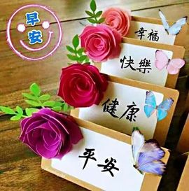 新人小年糕💋主播照片