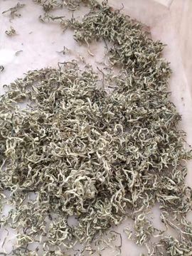 云南壹姐主播照片