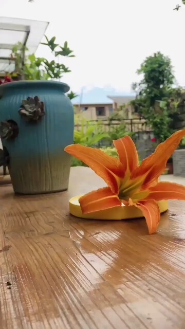 这个夏天，每天都有几