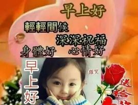 自信的小姐姐🤗🤗主播照片