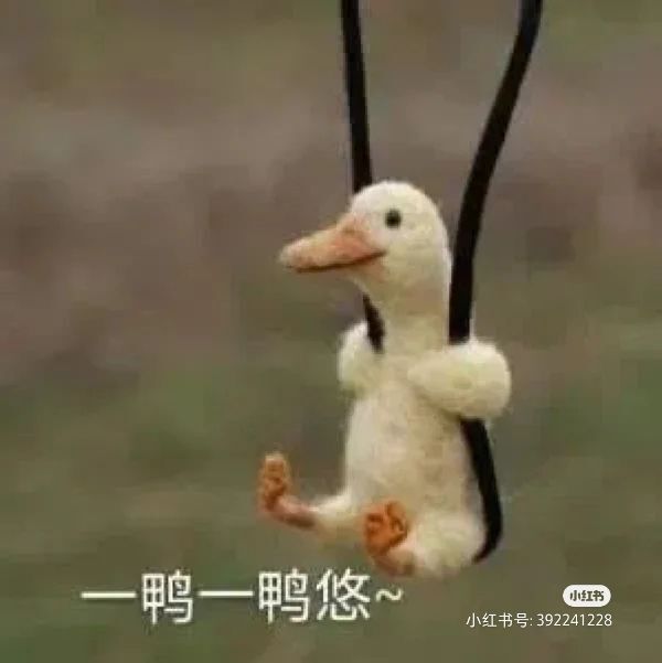 小黄黄黄黄黄.的图片