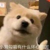 嘉华jiahua