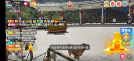 别了，聊聊天主播照片