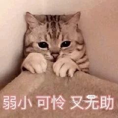 小黄黄黄黄黄.的图片