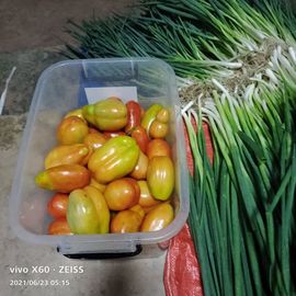 云南壹姐主播照片