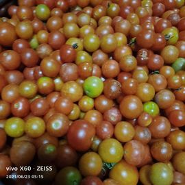 云南壹姐主播照片