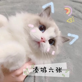 此账号已注销的图片