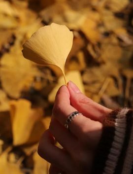 柠檬🌻加油主播照片