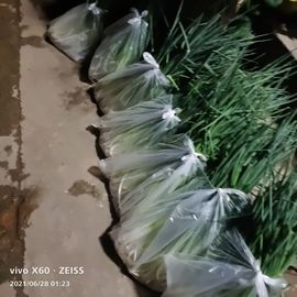 云南壹姐主播照片
