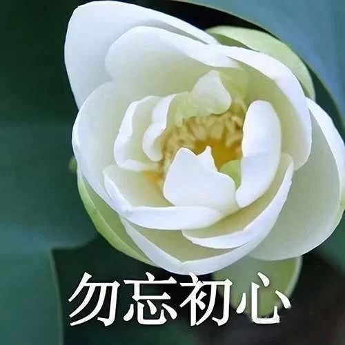 小黄黄黄黄黄.的图片