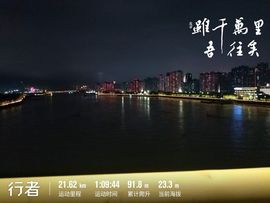 藏獒王∶成龙沸沸主播照片
