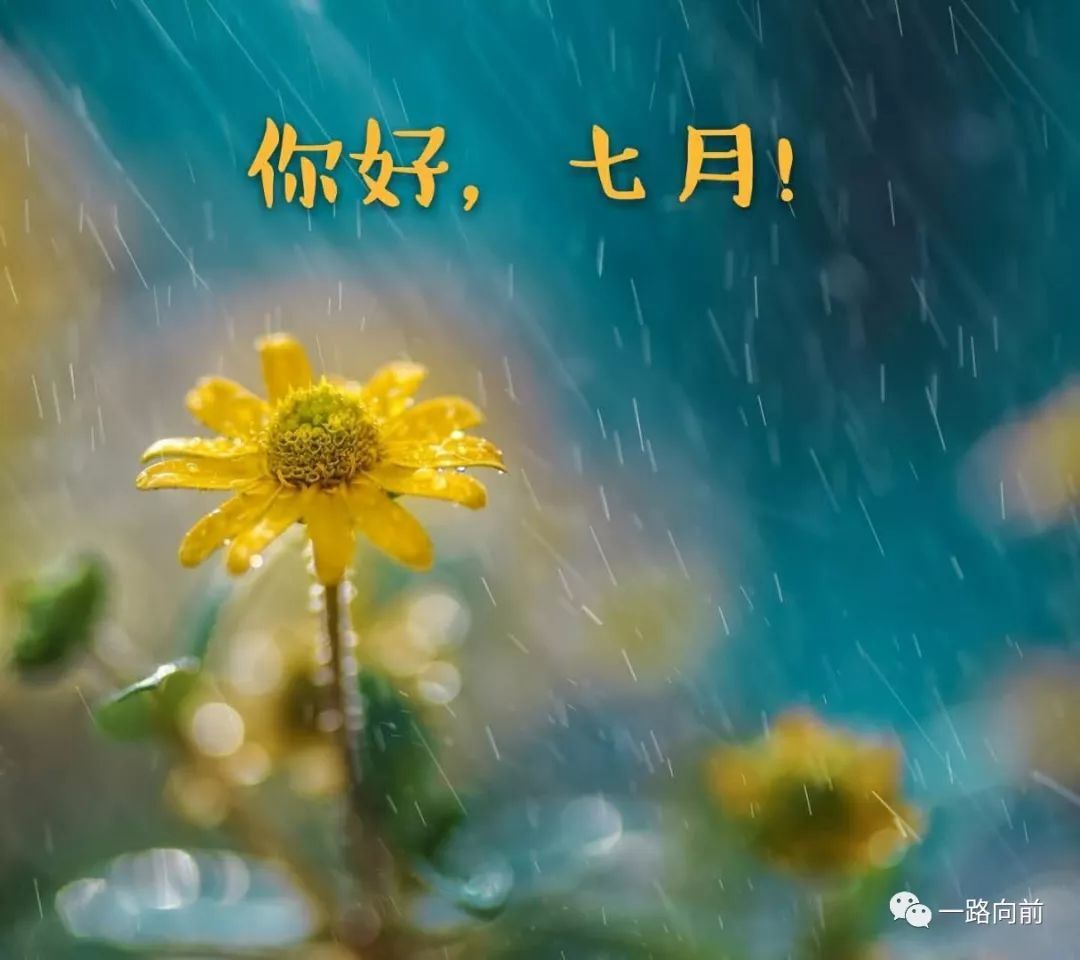 薇丫头～退的主播照片